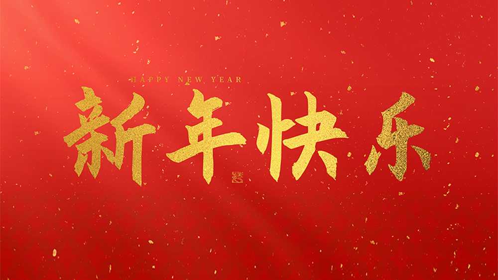 麗水市威儀自動化技術有限公司祝全國人民2025新年快樂！